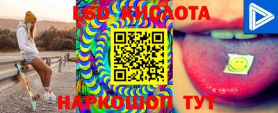 шишки Кандалакша