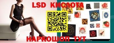 шишки Кандалакша