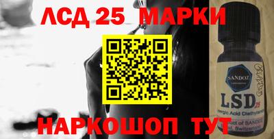 шишки Кандалакша