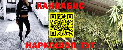 шишки Кандалакша