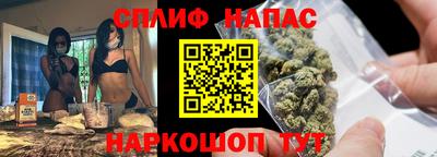 шишки Кандалакша