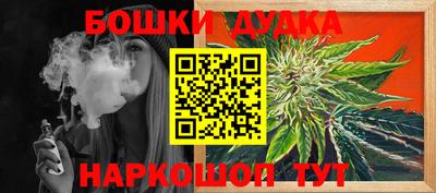 шишки Кандалакша