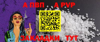 шишки Кандалакша