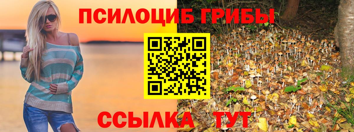 Галлюциногенные грибы GOLDEN TEACHER Шали